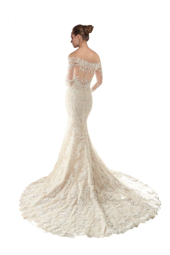 Long Sleeves Off the Shoulder Mermaid Tulle & Lace Wedding Dress Worcester