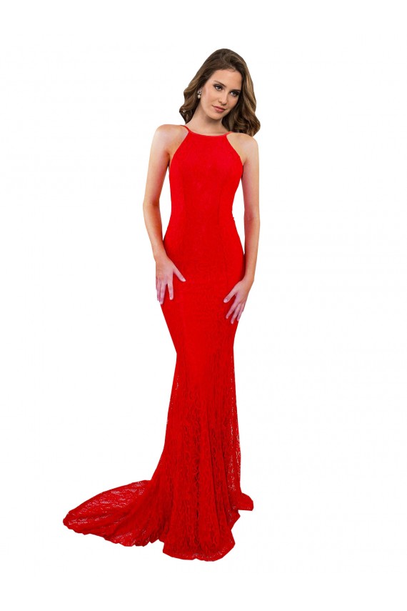 Open Back Sleeveless High Neck Mermaid Lace Evening Gown / Prom Dress / Bridesmaid Dress Worcester