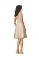 V-Back Champagne Sleeveless V-Neck A-Line Tulle & Lace Bridesmaid Dresses Worcester