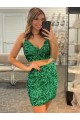 Sleeveless V-Neck Sheath Velvet Sequin Formal Dress Worcester