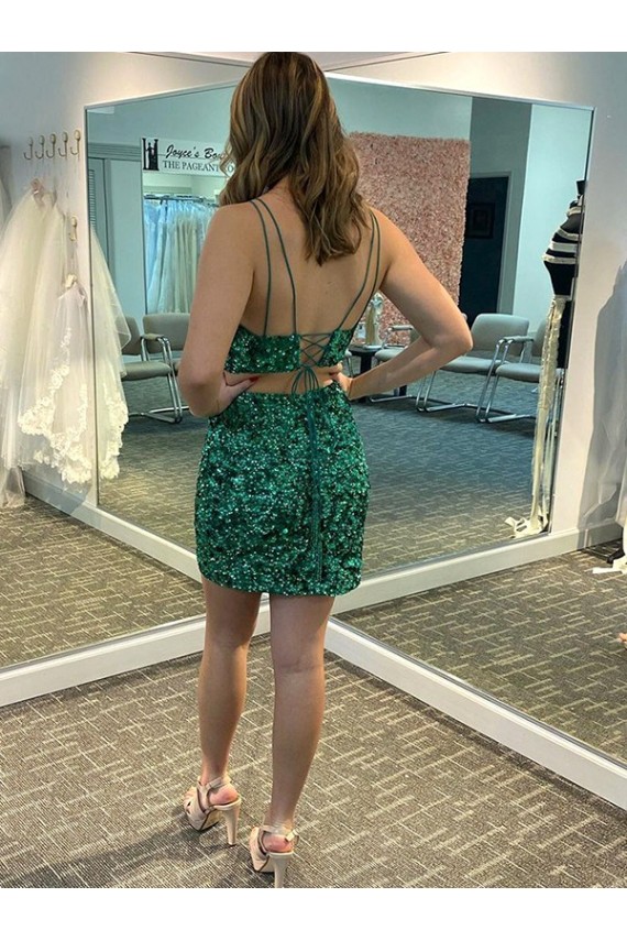Sleeveless V-Neck Sheath Velvet Sequin Formal Dress Worcester